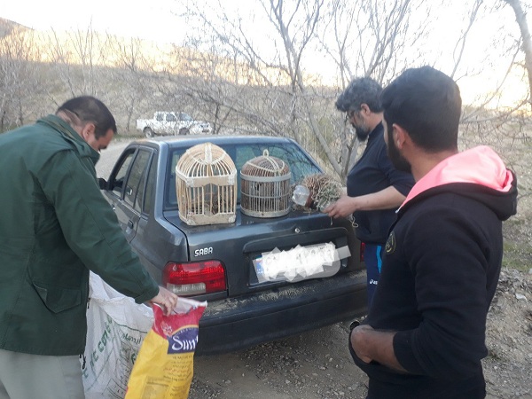 دستگیری شکارچیان غیرمجاز در شهرستان صحنه