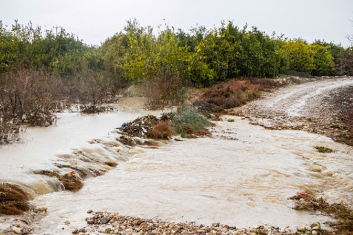 خسارت بیش از ۳۶۰ میلیارد ریالی سیل به کشاورزی استان بوشهر