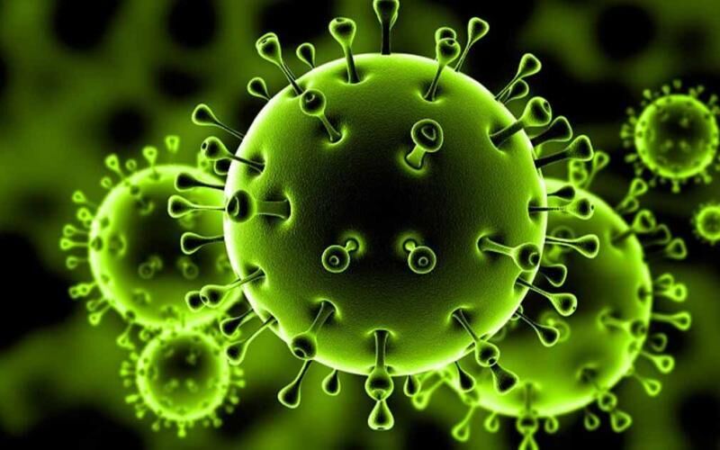 ابتلای ۲۰ مورد به کرونا ویروس طی ۲۴ ساعت گذشته