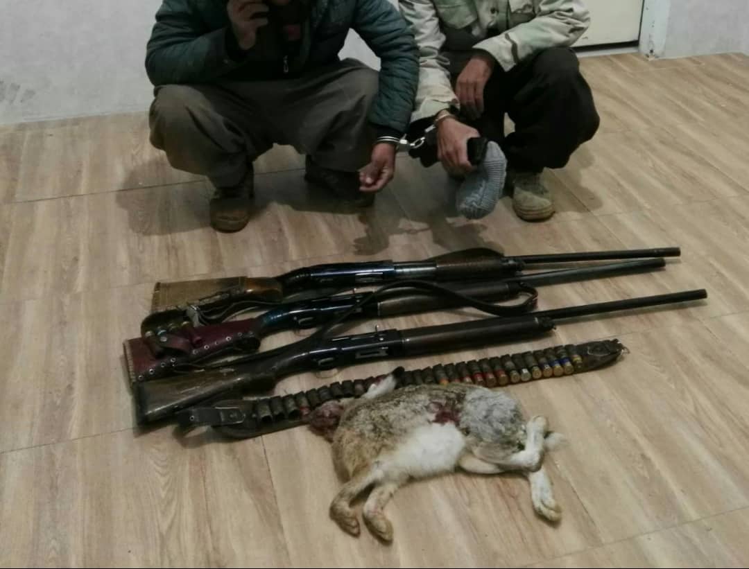 دستگیری شکارچیان متخلف در صحنه