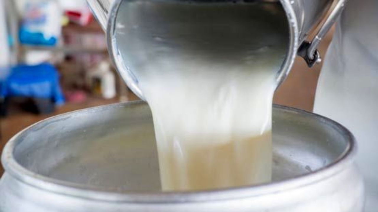 خرید بیش از ۱۳ هزار تن شیر از دامداران استان قزوین