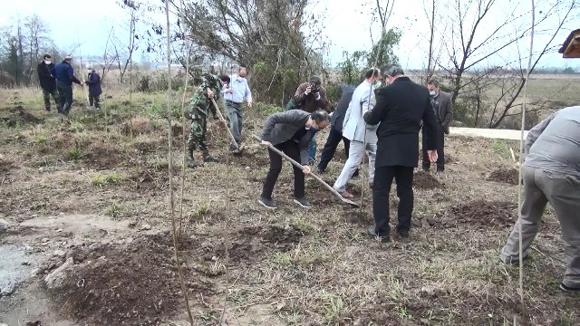 کاشت ۶ میلیون نهال در ۴ هزار هکتار از اراضی مازندران