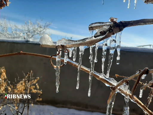 ماندگاری سرما در استان همدان