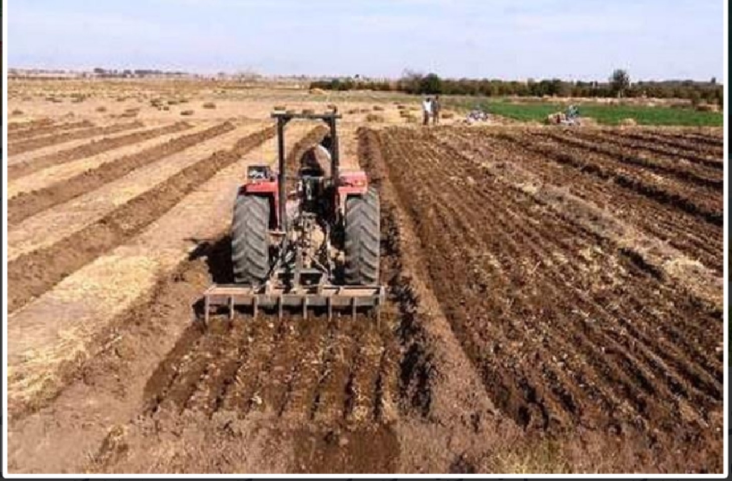 افزایش کشت محصولات پاییزه در شهرستان خواف