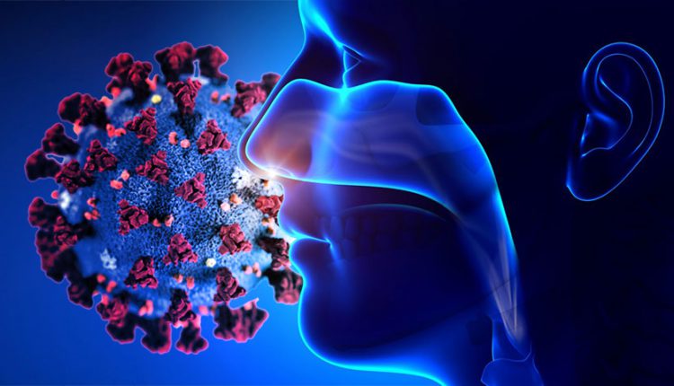 دلیل از دست رفتن بویایی ناشی از کرونا