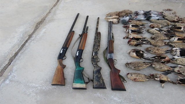 جریمه 21 میلیون ریالی برای شکارچیان غیرمجاز در مهاباد
