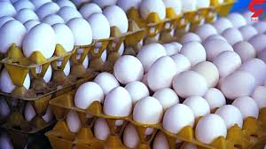 نبود نظارت بر عرضه تخم مرغ در استان یزد