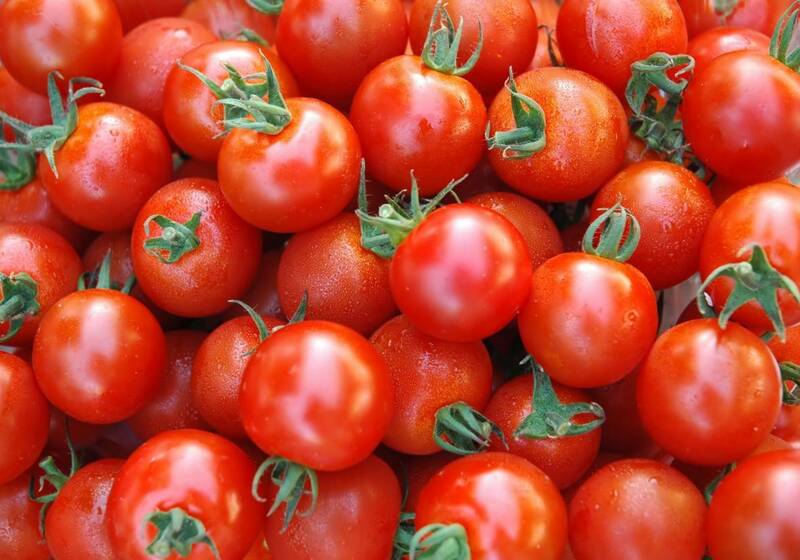 گوجه فرنگی داروی ضد پارکینسون
