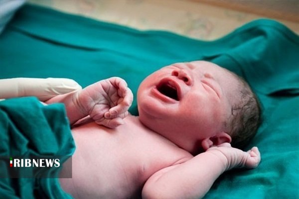 کاهش 4.2 درصدی ولادت در کردستان
