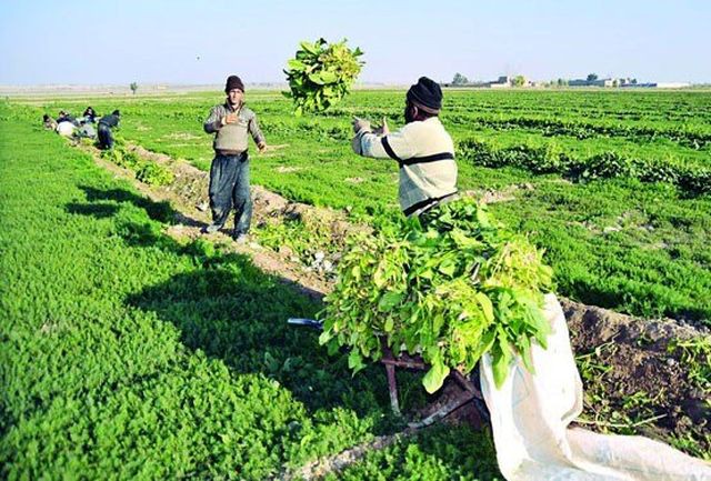 آبیاری هوشمند باغات و مزارع آذربایجان غربی