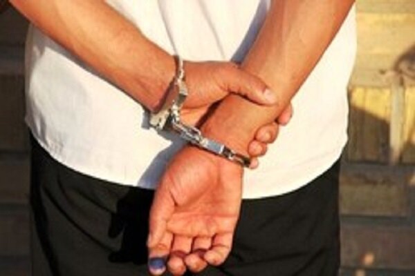 دستگیری سارق با ۳۳ فقره سرقت در شهرستان بیرجند