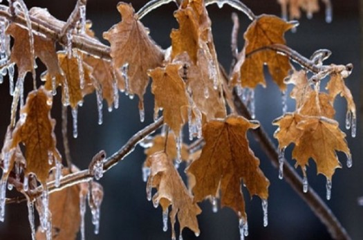 تداوم سرما و یخبندان در خراسان جنوبی