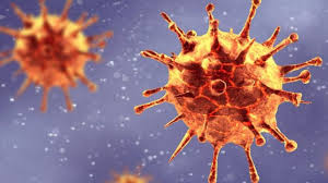 ویروس کرونای تولید داخل از نوع ویروس غیر فعال است
