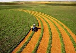 رونق صادرات محصولات کشاورزی در خوزستان
