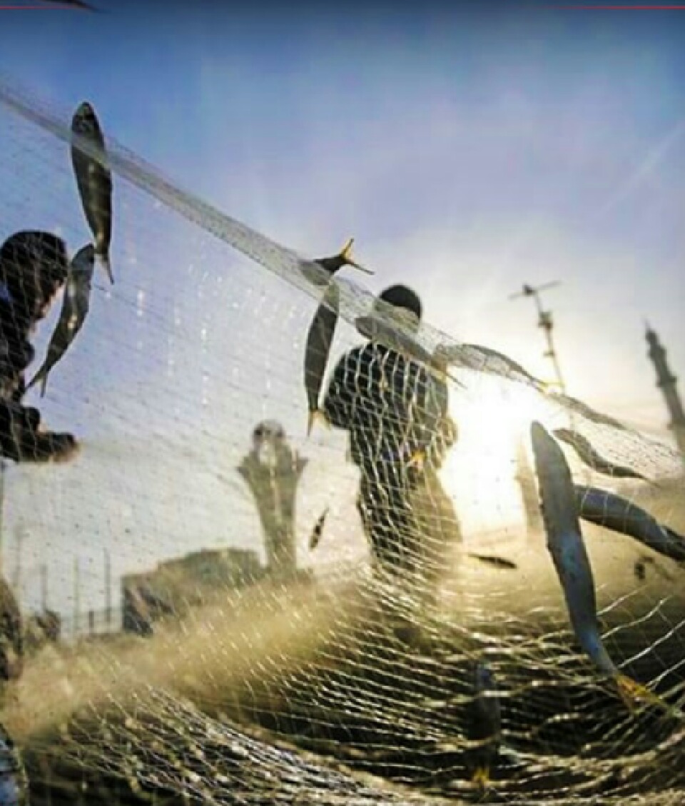 ازادی ۱۵ ماهیگیر ایرانی زندانی در هند