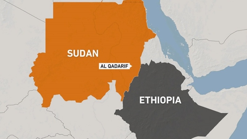 نشست عربی آفریقایی پیرامون درگیری سودان و اتیوپی