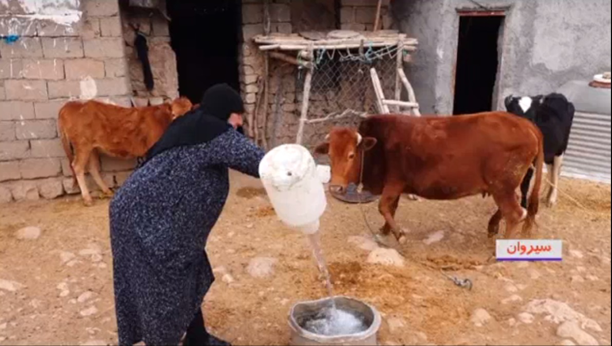 ایثار و از خودگذشتگی مادری مهربان