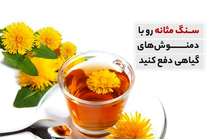 دفع سنگ مثانه با دمنوش هاي گياهي