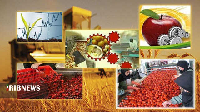 بهره برداری از ۱۹ طرح صنایع تبدیلی کشاورزی