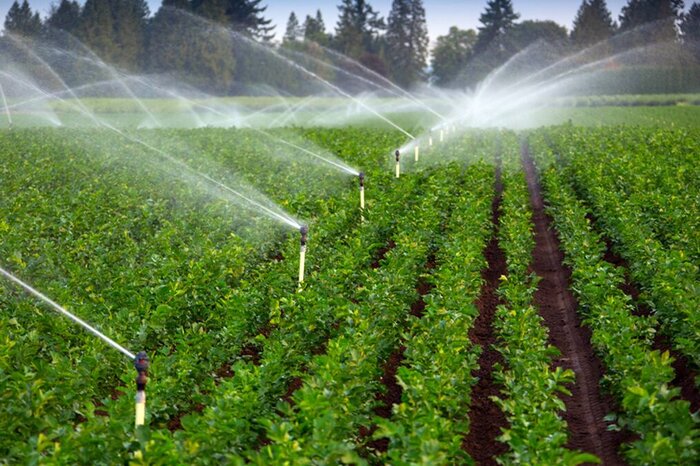 مجهز شدن بیش از ۹۵۱ هکتار از اراضی کشاورزی ملایر به سیستم آبیاری نوین