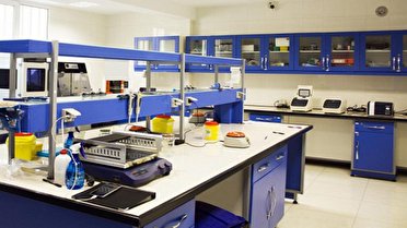 ایجاد پایانه صادراتی و تجهیز آزمایشگاه زعفران در شیروان