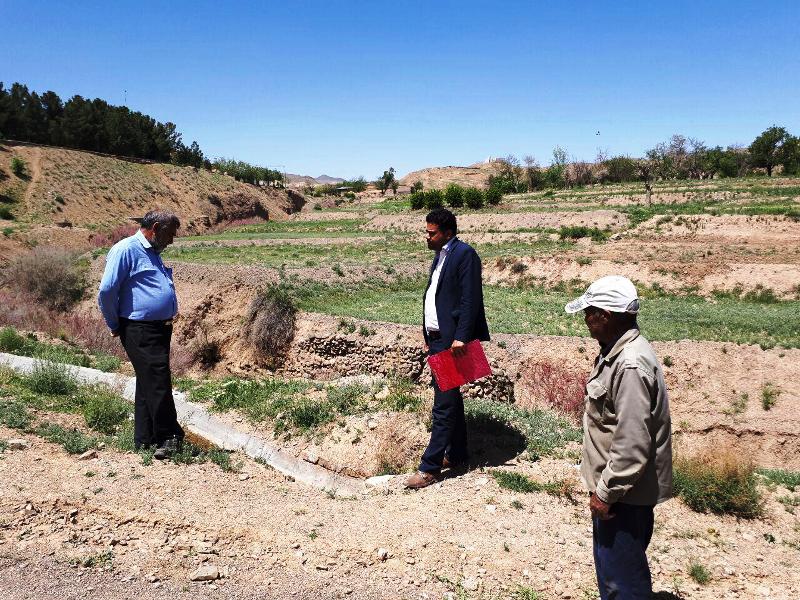 وقف بانوی نهبندانی همزمان با دهه فجر