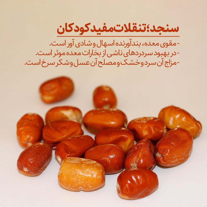 سنجد میوه ای کوچک، با خواصی بی نظیر