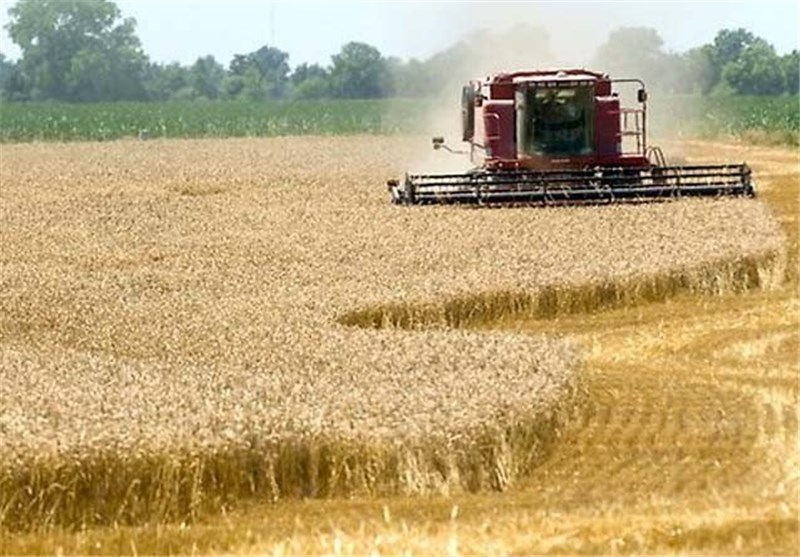 افزایش سالانه یک میلیون تنی محصولات کشاورزی در استان اردبیل
