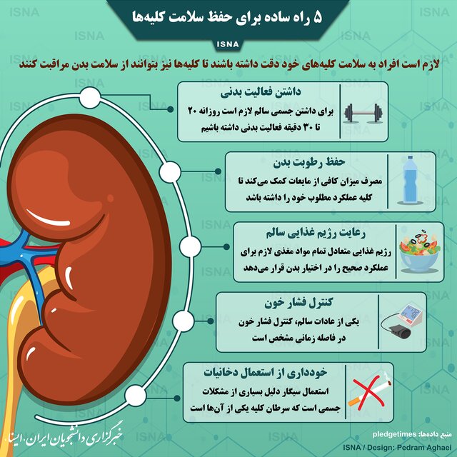 پنج راه ساده برای حفظ سلامت کلیه‌ها