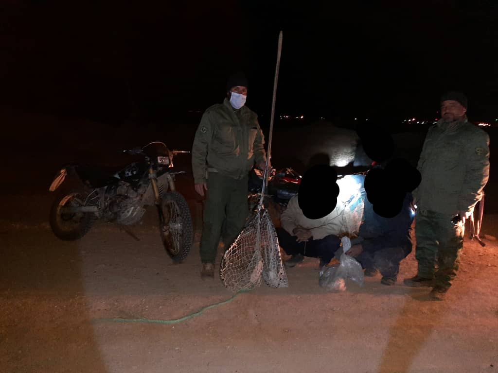 دستگیری شکارچیان غیر مجازپرندگان وحشی در خواف