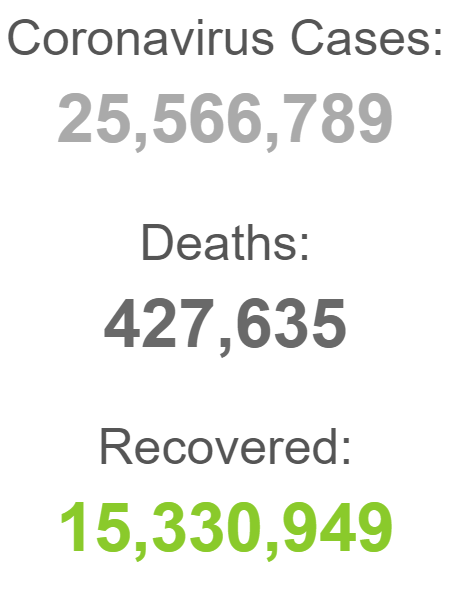 بیش از ۴۲۷ هزار آمریکایی قربانی کرونا شده اند