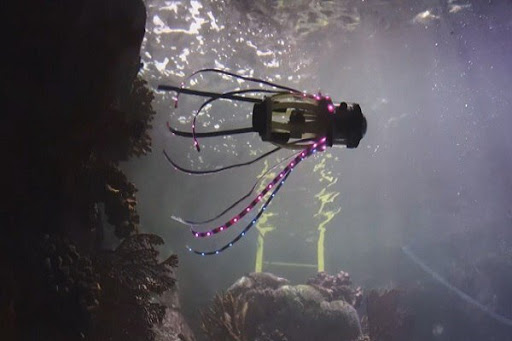 ماهی مرکب الهام‌بخش ساخت ربات زیرآبی