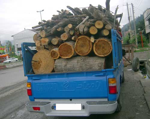 توقیف محموله چوب جنگلی قاچاق در سرخه
