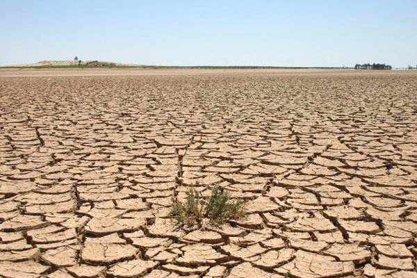 بهره کم جنوب استان بوشهر از بارش رحمت الهی