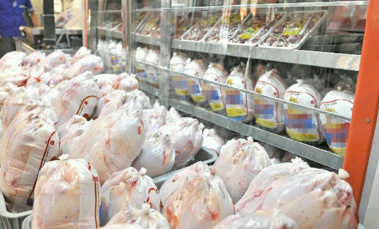 توقیف ۳۵ تن گوشت مرغ قاچاق در مرز دوغارون
