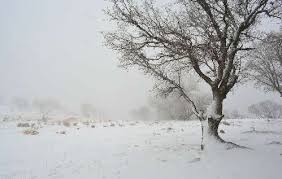 بسته شدن مسیر ۶ روستای ایذه بر اثر بارش برف