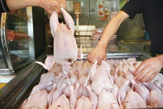 توزیع روزانه 9 تن گوشت مرغ در تایباد