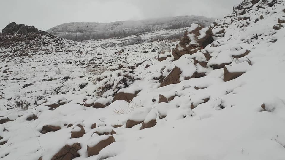 بارش برف در سپیدان