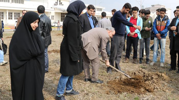 اهداء ۸۵ هزار نهال به طبیعت کهگیلویه و بویراحمد