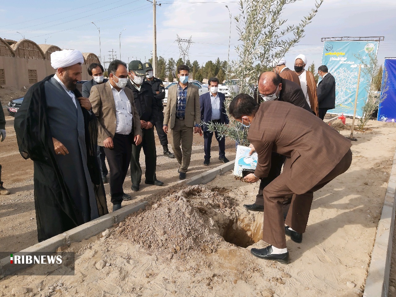 آغازغرس ۶ هزار درخت مثمربومی در سطح استان کرمان