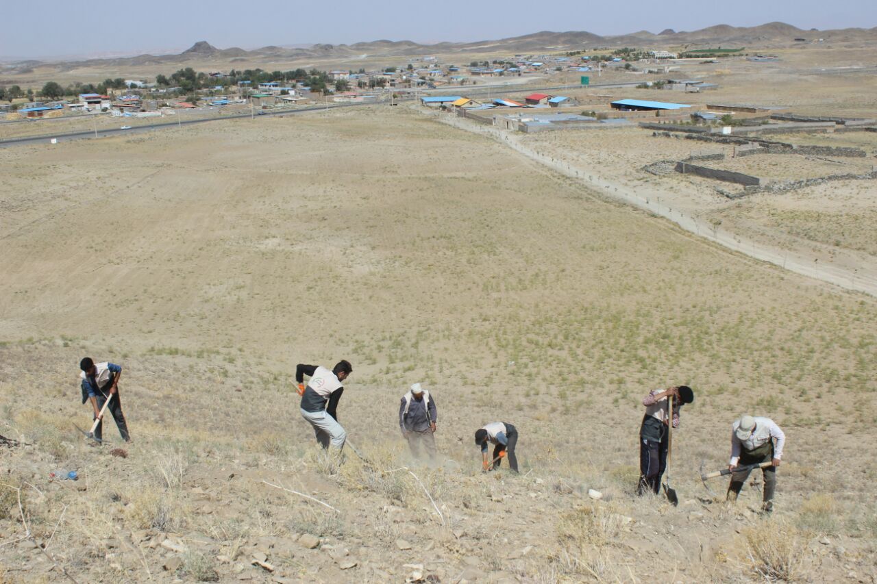 غرس بیش از دو هزارو ۳۰۰ اصله نهال در خراسان رضوی