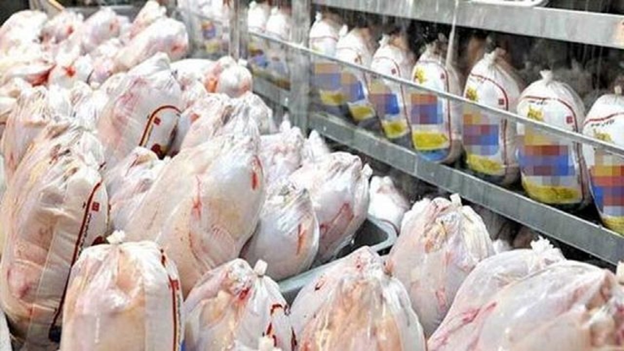 توزیع ۱۰۳ تن مرغ در استان قزوین