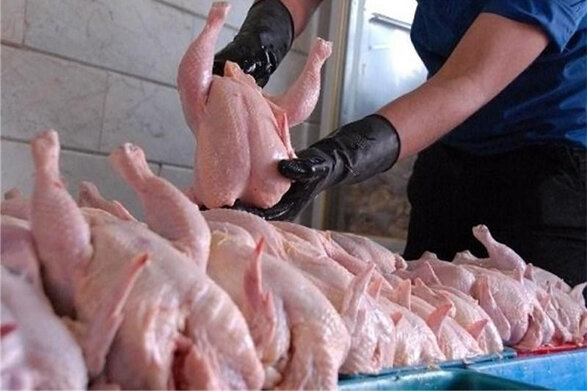 راه اندازی اتحادیه کنترل عرضه ی گوشت مرغ در بازار