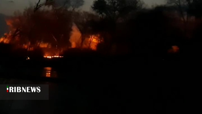 آتش سوزی در جنگل حاشیه رود ارس در پاس آباد(گزارش)