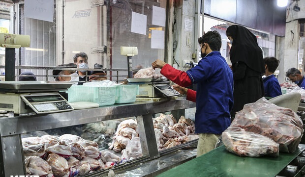 توزیع روانه ۵۰ تُن گوشت مرغ گرم در خراسان جنوبی