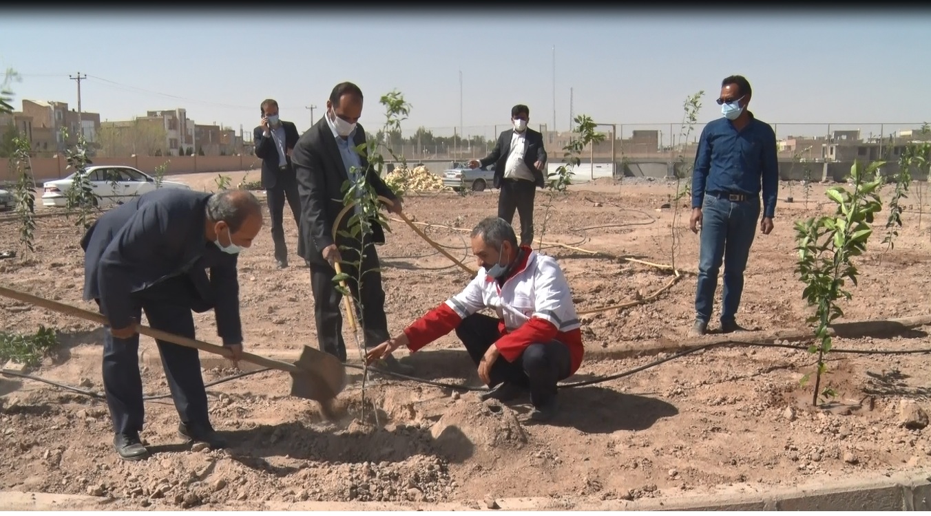 کاشت نهال در مجموعه ورزشی شهداء