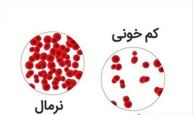 خواص نارگیل خشک برای بدن