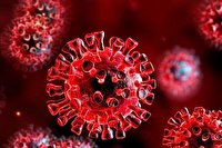 نقشه شیوع ویروس کرونا را رفتار‌های ما ترسیم می‌کند