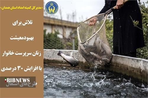 افزایش 30 درصدی طرح های اشتغال زایی برای بانوان در همدان