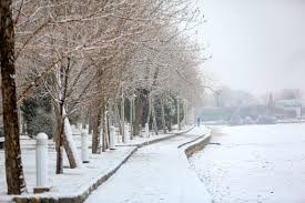 استمرار بارش برف در آذربایجان غربی